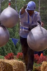 Home Free – S02E07 – Flying Solo