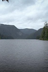Port Protection – S01E09 – Predator Prevention