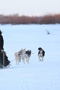 The Last Alaskans – S04E07 – Hard Choices