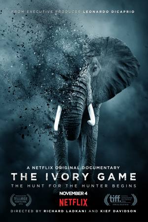 The Ivory Game
