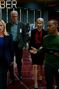 CSI: Cyber – S02E10 – Shades of Grey
