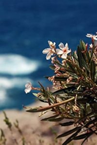 The Wonder List with Bill Weir – S01E03 – Ikaria: The Island Where People Forget to Die
