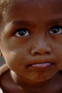 The Wonder List with Bill Weir – S01E04 – India: Tigers and the Taj