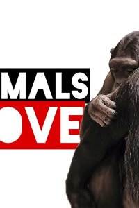 Animals in Love – S01E01 – Episode #1.1