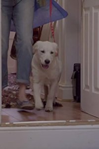 Puppy Love – S01E02 – Episode #1.2
