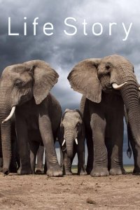 Life Story – S2014E08 – Life Story Diaries