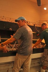 Somebody’s Gotta Do It – S01E03 – Oyster Orgy