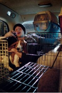 Siblings – S01E02 – Vet Drugs