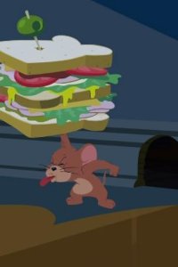 The Tom and Jerry Show – S01E05 – Holed Up/One of a Kind