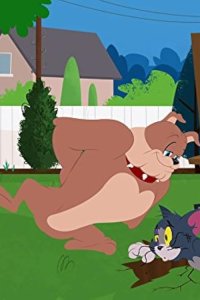 The Tom and Jerry Show – S01E08 – Entering and Breaking/Franken Kitty