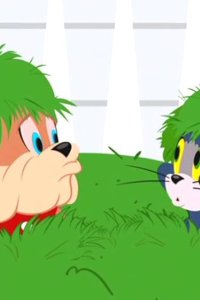 The Tom and Jerry Show – S01E10 – Here’s Lookin’ A-Choo, Kid/Superfied