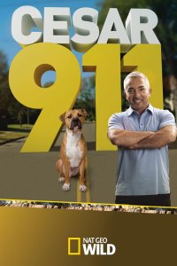 Cesar 911 – S03E04 – Three Headed Monster