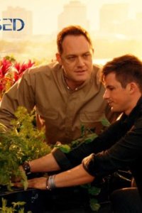 Star-Crossed – S01E01 – Pilot