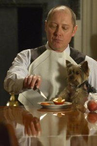 The Blacklist – S01E22 – Berlin (No. 8): Conclusion