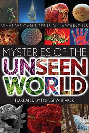 Mysteries of the Unseen World