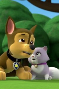 PAW Patrol – S01E03 – Pups and the Kitty-tastrophe/Pups Save the Train