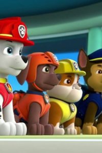 PAW Patrol – S01E20 – Pups Go All Monkey/Pups Save a Hoot