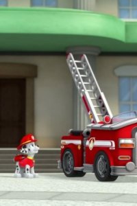 PAW Patrol – S01E21 – Pups Save a Bat/Pups Save a Toof