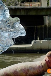 Mako Mermaids – S04E13 – Letting Go