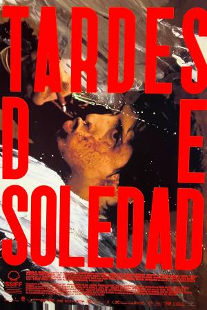 Afternoons of Solitude