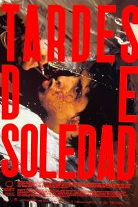 Afternoons of Solitude