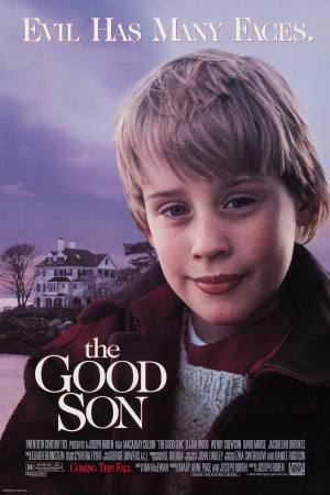 The Good Son