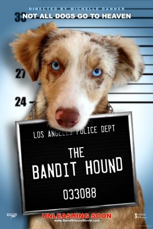 The Bandit Hound