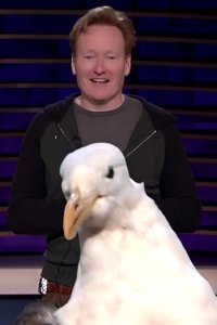 Conan – S01E1295 – CONAN Scrapisode