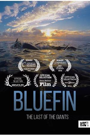 Bluefin