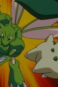 Poketto monsutâ – S04E04 – Bug Catching Tournament! Capture a Pokémon at the Natural Park!!