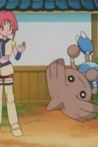 Poketto monsutâ – S04E09 – Kapoerer vs. Fushigidane! Hand to Hand Showdown!!
