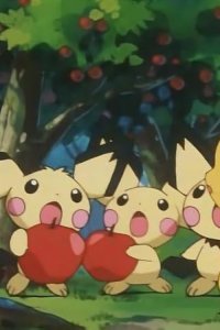 Poketto monsutâ – S04E22 – Pikachu and Pichu!