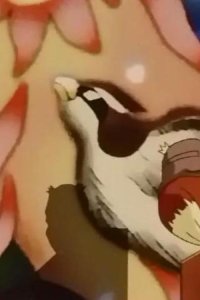 Pokémon – S04E54 – Poppo and the Enormous Poppo! Towards the as Yet Unseen Sky!!