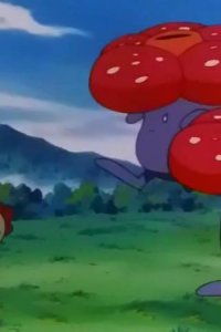 Poketto monsutâ – S04E82 – Kireihana and Rafflesia! Peace in Meadow!