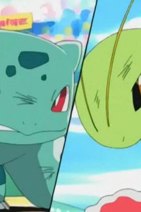 Poketto monsutâ – S05E59 – Meganium vs Fushigidane! Spirit of the Grass Types!