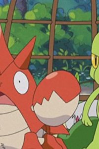 Poketto monsutâ – S05E91 – Attack of the Konohana Family!