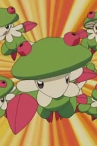 Poketto monsutâ – S07E42 – The Fighting King of the Forest!? Wakasyamo vs. Kinogassa!