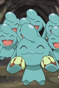 Poketto monsutâ – S07E73 – Who, What, When, Where, Wynaut