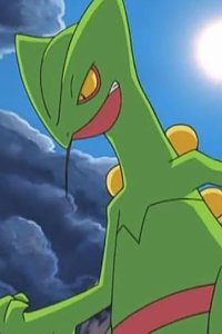 Poketto monsutâ – S08E72 – Fierce Fighting! Jungle Battle at the Battle Palace!!