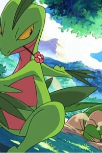 Pokémon – S09E16 – Juptile vs. Tropius! Grassland Duel!!