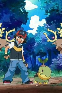 Poketto monsutâ – S10E06 – Bewilder Forest! Shinji Returns!!