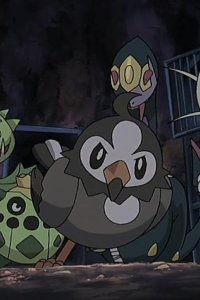Poketto monsutâ – S10E13 – Mukkuru Perseveres!