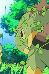 Poketto monsutâ – S10E37 – Hakutai Gym! Vs Natane!!