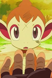 Poketto monsutâ – S10E51 – Hikozaru vs. Zangoose! Destined Battle!!