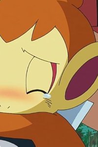 Poketto monsutâ – S10E53 – Hikozaru’s Tears!