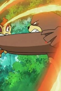 Poketto monsutâ – S11E29 – The Scorching Hikozaru!