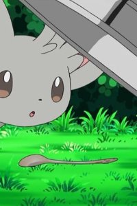 Poketto monsutâ – S14E12 – Chillarmy Is a Neat Freak!?