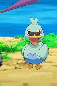 Poketto monsutâ – S14E19 – Pikachu vs Meguroco vs Koaruhie!!