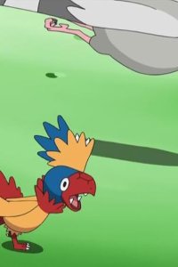 Poketto monsutâ – S14E35 – Fossil Revival! Ancient Mysterious Bird Archeos!!