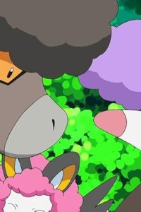 Poketto monsutâ – S15E18 – Baffling the Bouffalant!